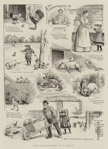 鶏の自伝 作： William Ralston